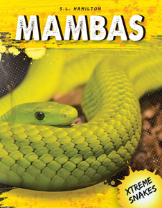 Mambas (Xtreme Snakes)