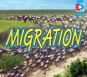 Migration (Eyediscover)