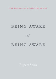 Being Aware Of Being Aware (The Essence Of Meditation Series) Being Aware Of Being Aware (The Essence Of Meditation Series)