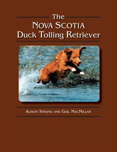 The Nova Scotia Duck Tolling Retriever The Nova Scotia Duck Tolling Retriever