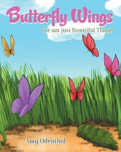 Butterfly Wings Are Not Just Beautiful Things Butterfly Wings Are Not Just Beautiful Things