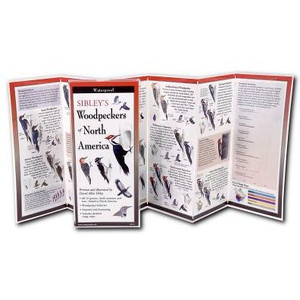 Sibley's Woodpeckers Of North America (Foldingguides)