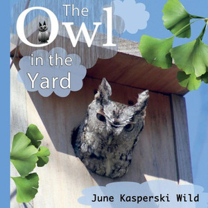 The Owl In The Yard