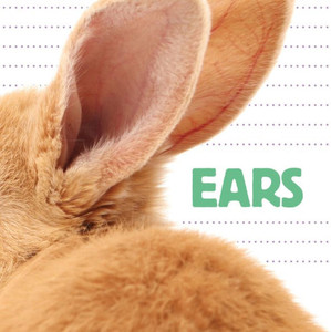 Ears (Whose Is It?) Ears (Whose Is It?)