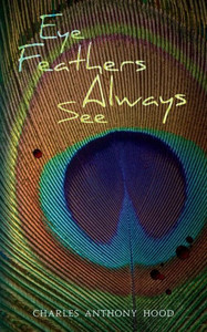 Eye Feathers Always See Eye Feathers Always See