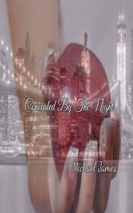 Concealed By The Night (The Way We Love)