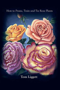 How To Prune, Train And Tie Rose Plants