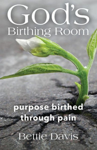 God's Birthing Room: Purpose Birthed Through Pain God's Birthing Room: Purpose Birthed Through Pain