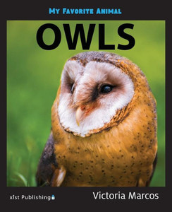 My Favorite Animal: Owls My Favorite Animal: Owls