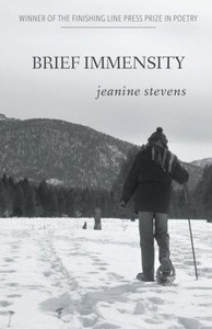 Brief Immensity Brief Immensity