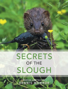 Secrets Of The Slough Secrets Of The Slough