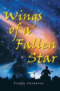 Wings Of A Fallen Star Wings Of A Fallen Star