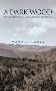 A Dark Wood: Poetical Sketches On Life & Being In The World