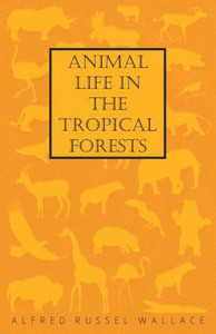 Animal Life In The Tropical Forests