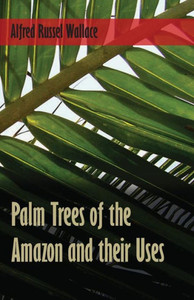 Palm Trees Of The Amazon And Their Uses Palm Trees Of The Amazon And Their Uses
