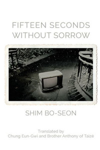 Fifteen Seconds Without Sorrow