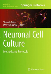 Neuronal Cell Culture: Methods And Protocols (Methods In Molecular Biology, 1078)