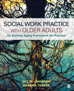 Social Work Practice With Older Adults: An Actively Aging Framework For Practice