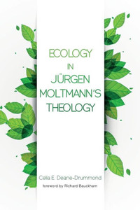 Ecology In Jurgen Moltmann'S Theology
