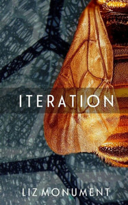 Iteration Iteration