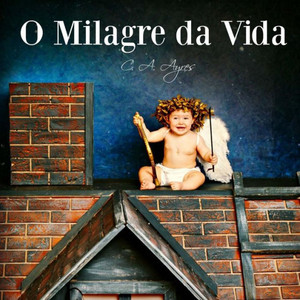 O Milagre Da Vida (Portuguese Edition)