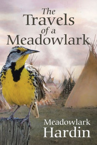 The Travels Of A Meadowlark