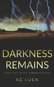 Darkness Remains (The Darkness Series)