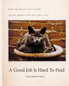 A Good Job Is Hard To Find
