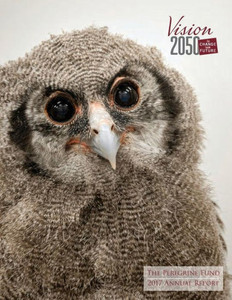 2017 Annual Report 2017 Annual Report
