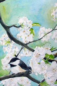 Chickadee