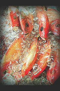 Baubles, Bangles and Beasts - More Jolly Nonsense on Stilts