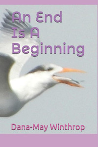 An End Is A Beginning An End Is A Beginning