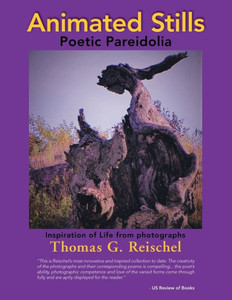Animated Stills: Poetic Pareidolia Animated Stills: Poetic Pareidolia