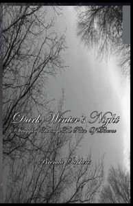 Dark Winter's Night: Struggling Through The Pain Of Divorce Dark Winter's Night: Struggling Through The Pain Of Divorce