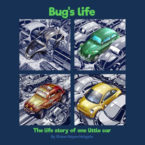 Bug's Life: The life story of one little car Bug's Life: The life story of one little car