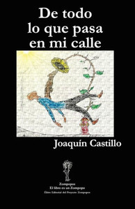 DE TODO LO QUE PASA EN MI CALLE (Spanish Edition) DE TODO LO QUE PASA EN MI CALLE (Spanish Edition)