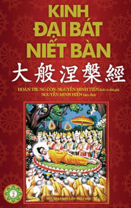 Kinh Ð?i Bát Ni?t Bàn - Ph?n 2: T? Quy?n 21 d?n Quy?n 42 (Vietnamese Edition)