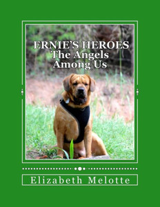 Ernie's Heroes: The Angels Among Us Ernie's Heroes: The Angels Among Us
