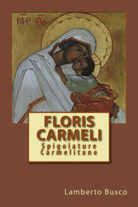 Floris Carmeli: Spigolature Carmelitane (Italian Edition)