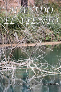 Ha sido el viento (Spanish Edition)