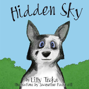 Hidden Sky
