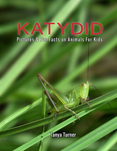 Katydid:Pictures & Fun Facts on Animals For Kids (Amazing Creature Series)