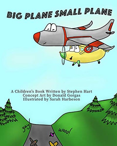Big Plane Small Plane Big Plane Small Plane