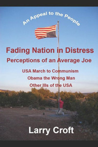 Fading Nation in Distress: Perceptions of an Average Joe