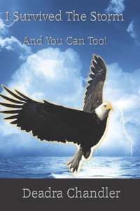 I Survived The Storm: And You Can Too!