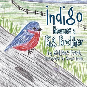 Indigo Becomes a Big Brother Indigo Becomes a Big Brother