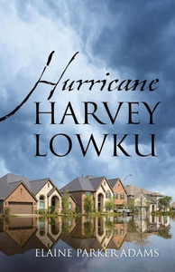 Hurricane Harvey Lowku Hurricane Harvey Lowku