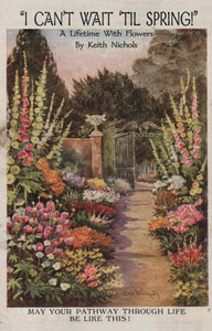 I Can't Wait 'Til Spring!: A Lifetime With Flowers