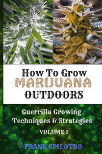 How to Grow Marijuana Outdoors: Guerrilla Growing Techniques & Strategies