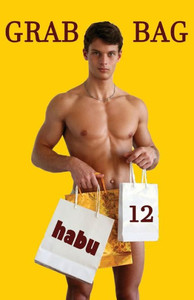 Grab Bag 12 (Grab Bag Gay Erotica Anthologies)